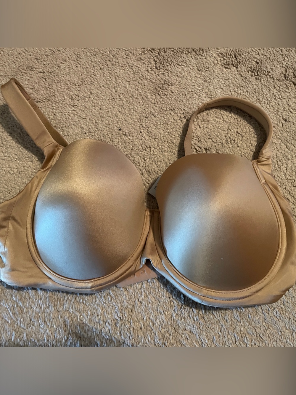 Everyday Smooth Molded Bra in Nude